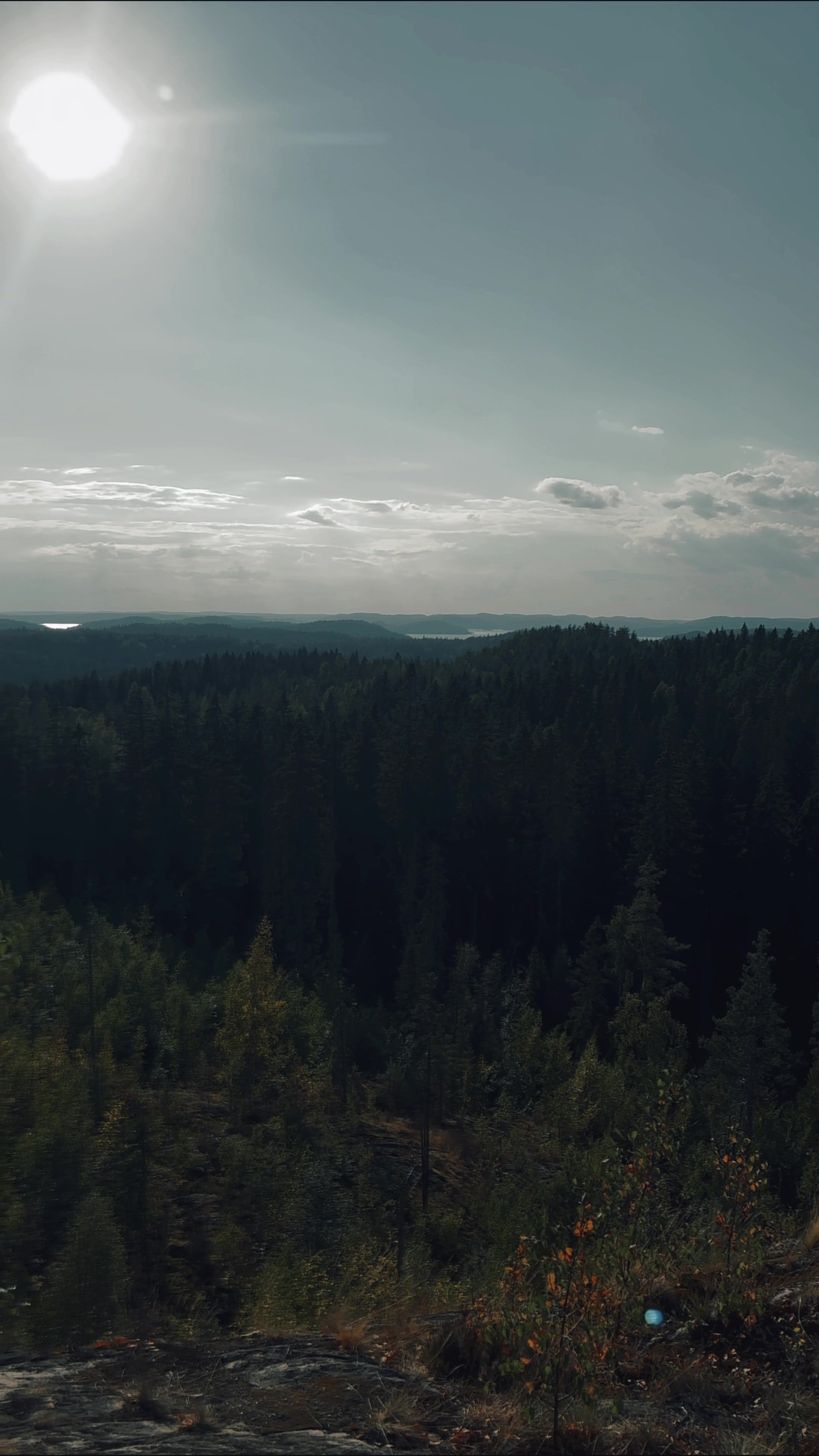 @HAUKORIGINAL