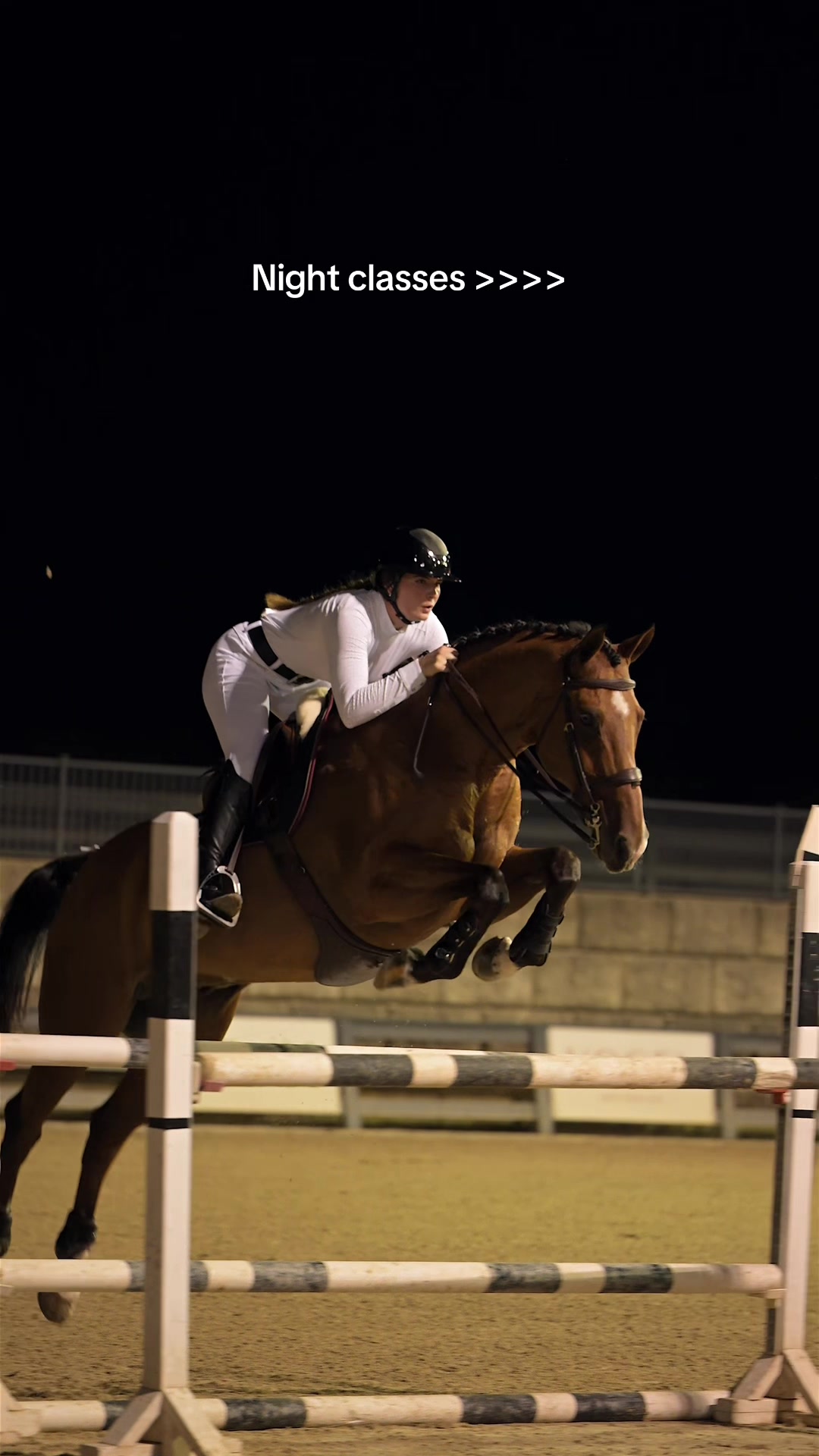 @Free Ride Equestrian