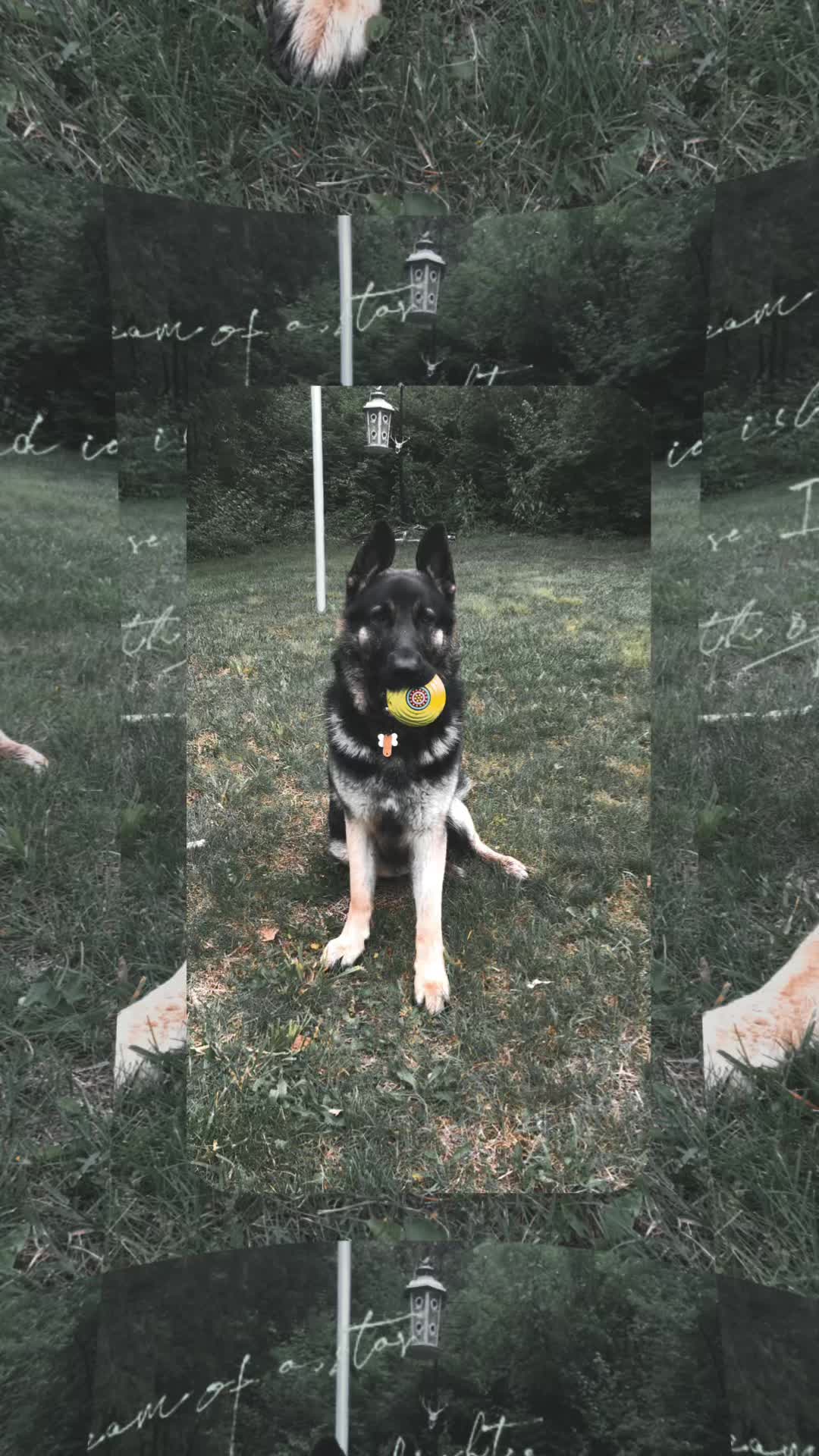 @MERCURY_GSD_24_7