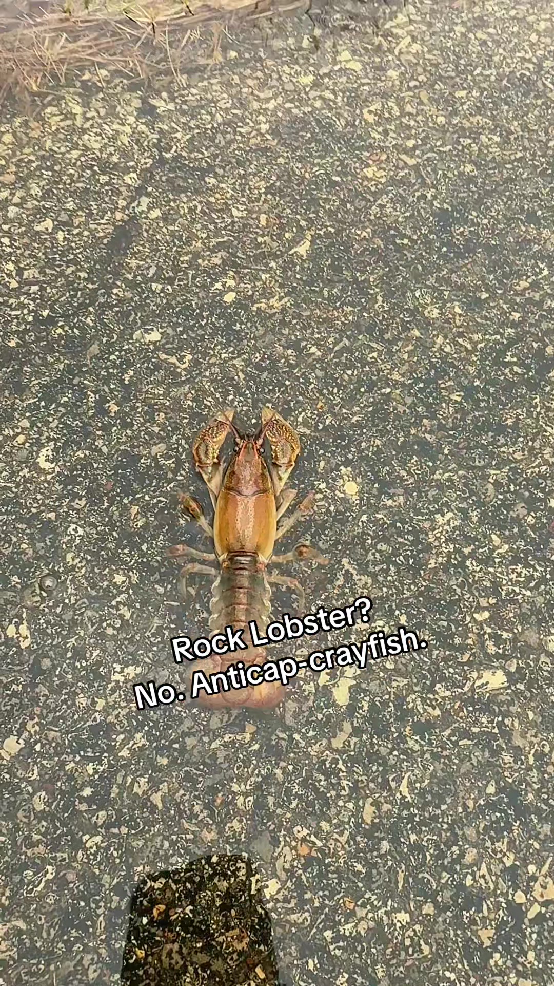 @โฐ ๐ฏ๐๐๐ ๐พ๐๐๐๐๐ โฐ
