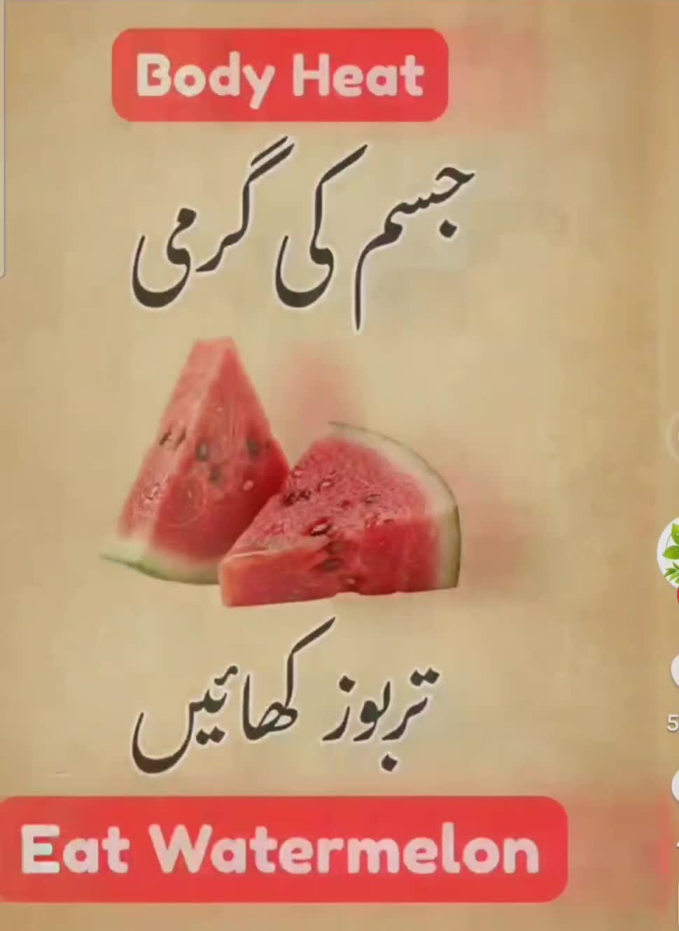 @Syeda Mujahid