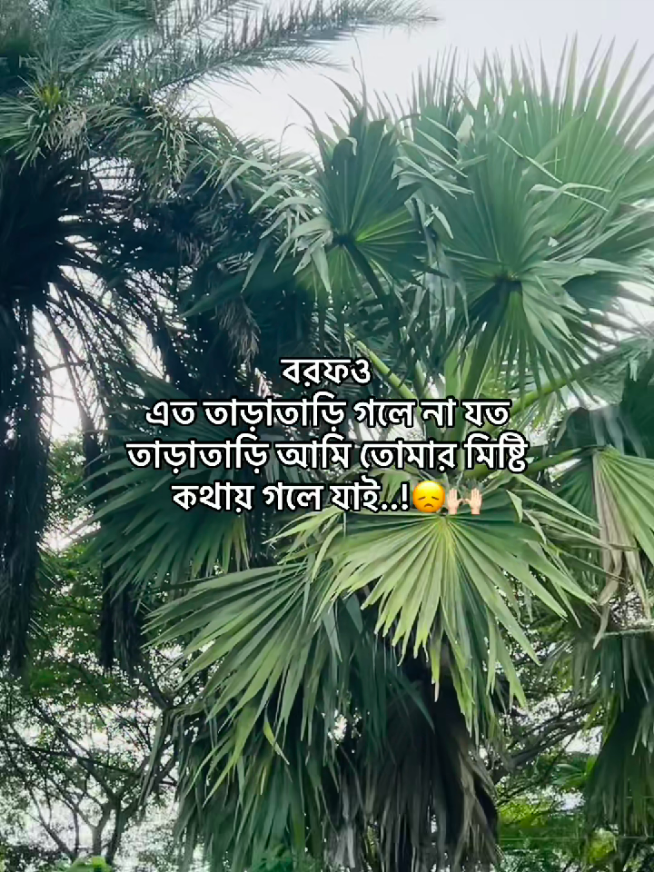 @টিক-টিকি