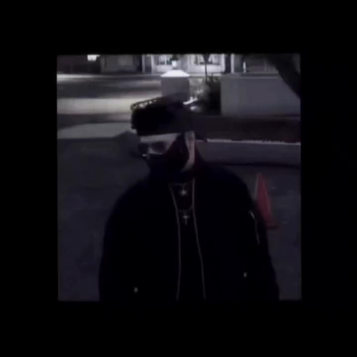@🦈