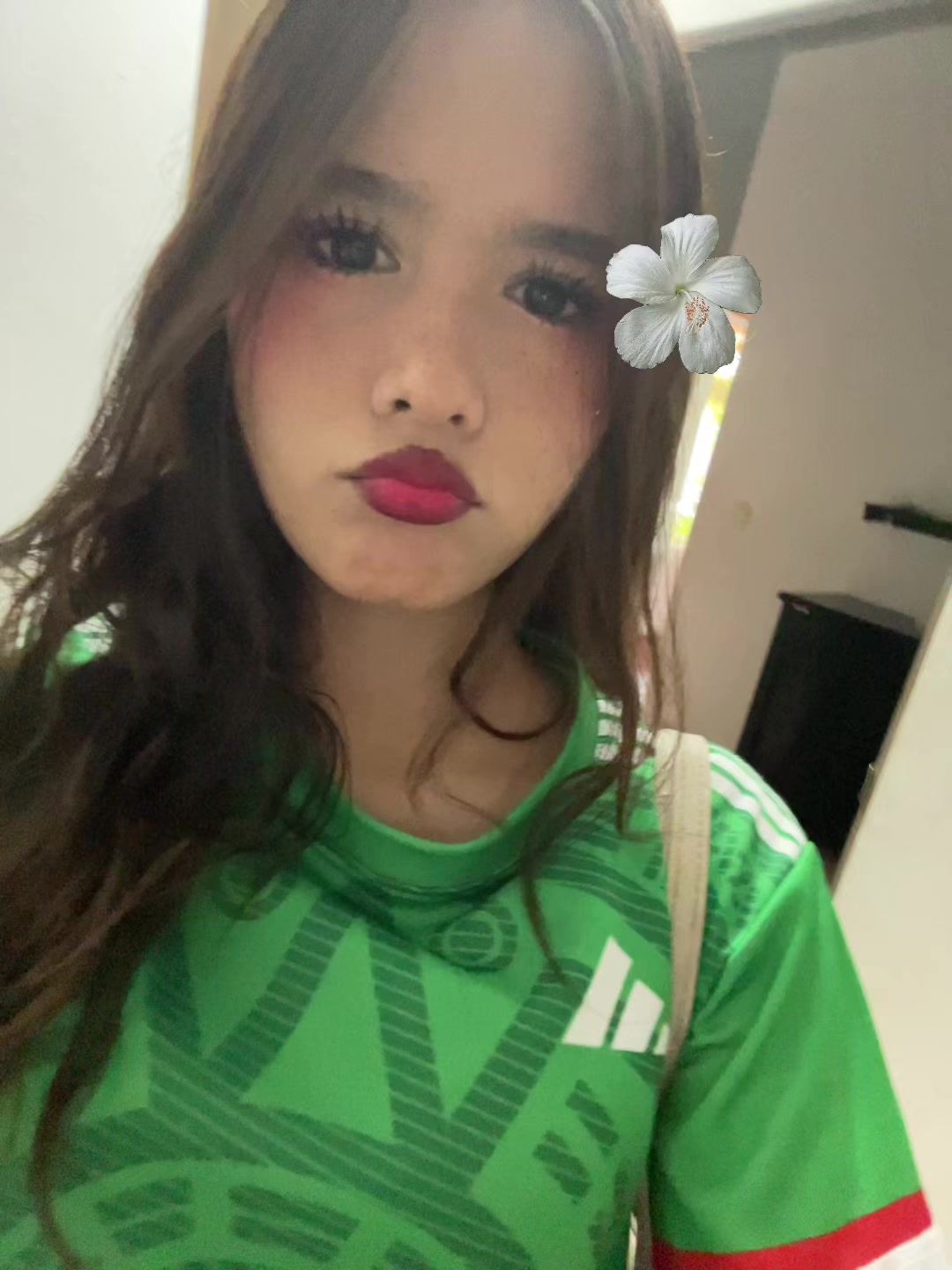 @abivie.co
