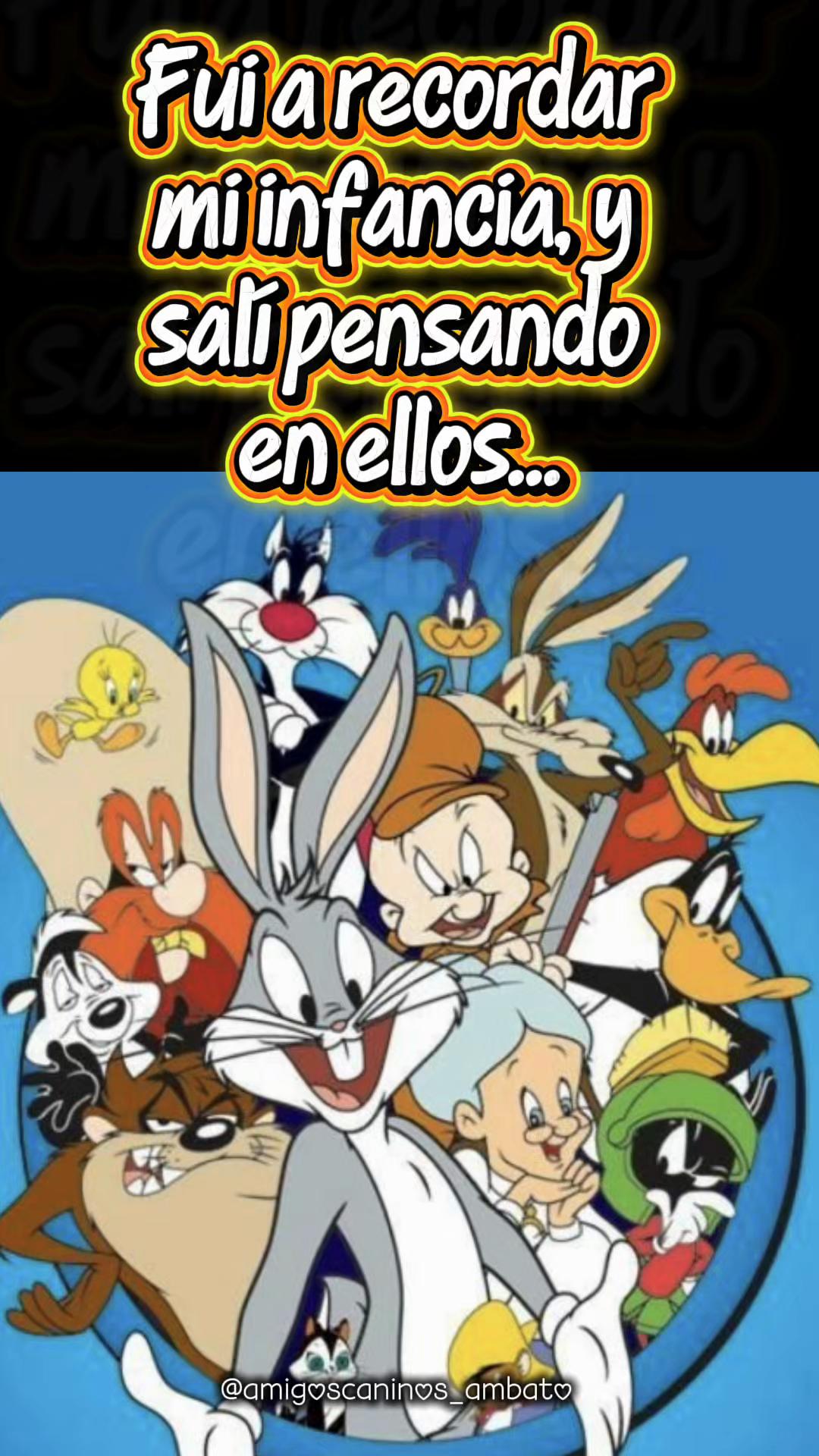 @Amigoscaninos_Ambato