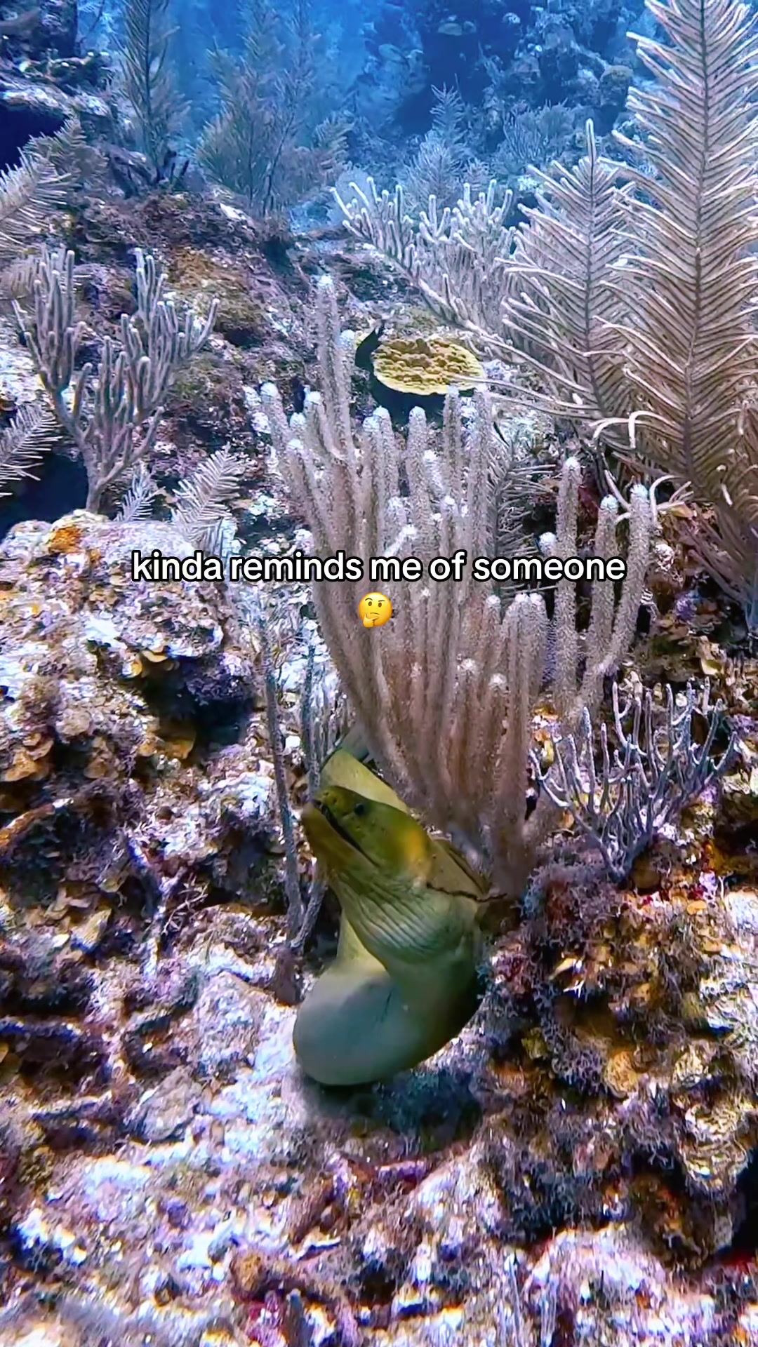 @ⒿⒶⒸⓄⒷ