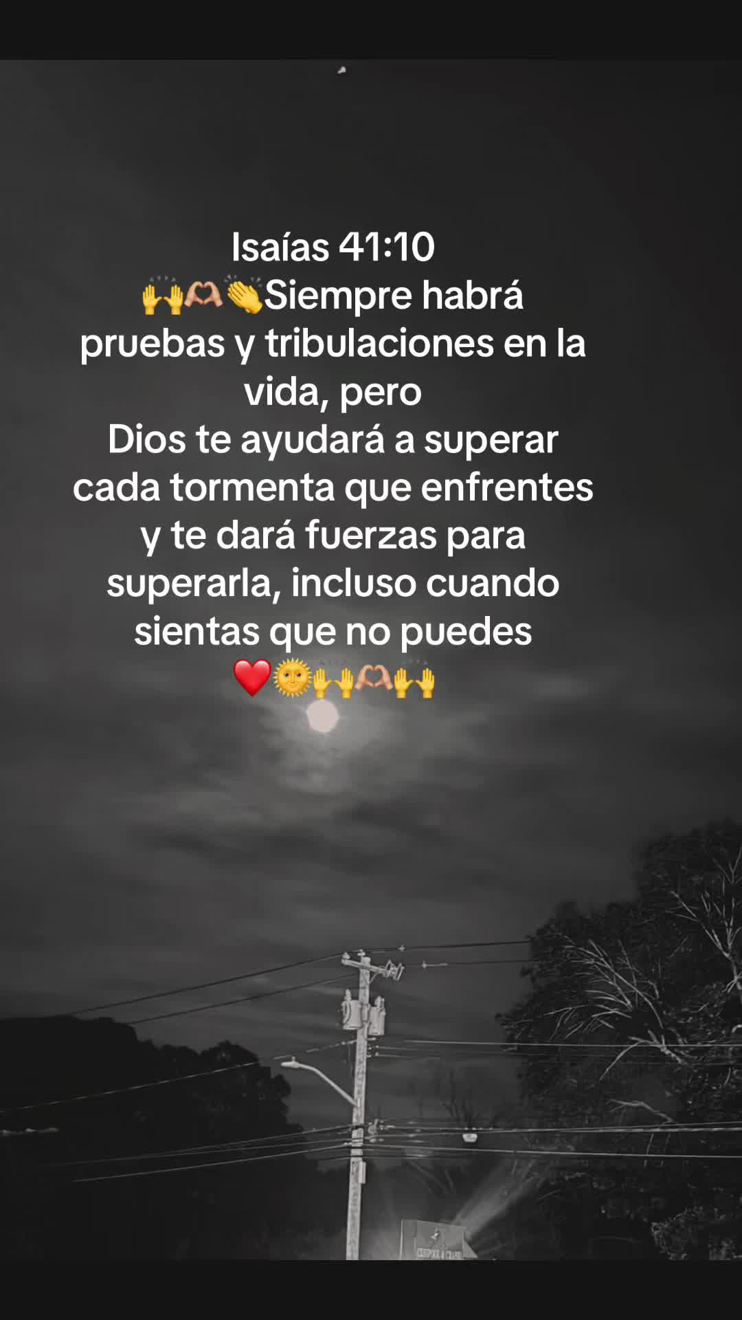 @❣️𝕊𝔸ℕ𝔻ℝ𝕐♓️🦋🐛🍓❤️&zwj;🔥🦅🦁