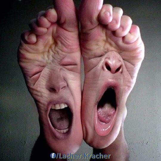 @ᛕꫝꪶꪮᗱ᥊ᦔ