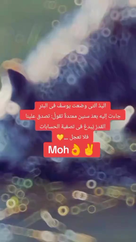 @Moh Mohamed753