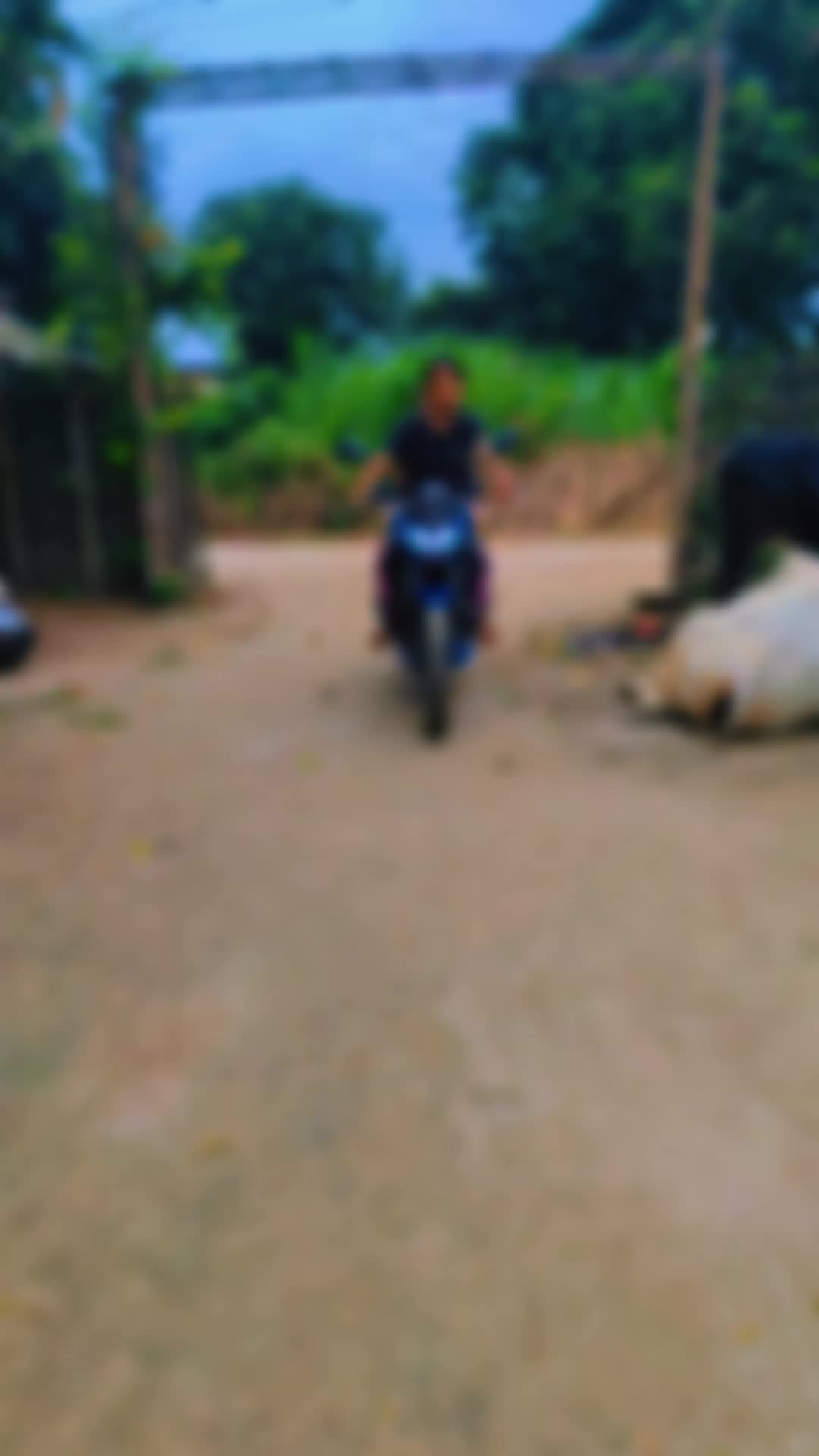 @Yadav 👑 saurab 👑