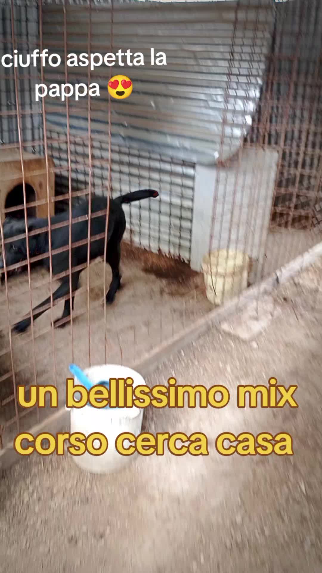 @Zito Calogera