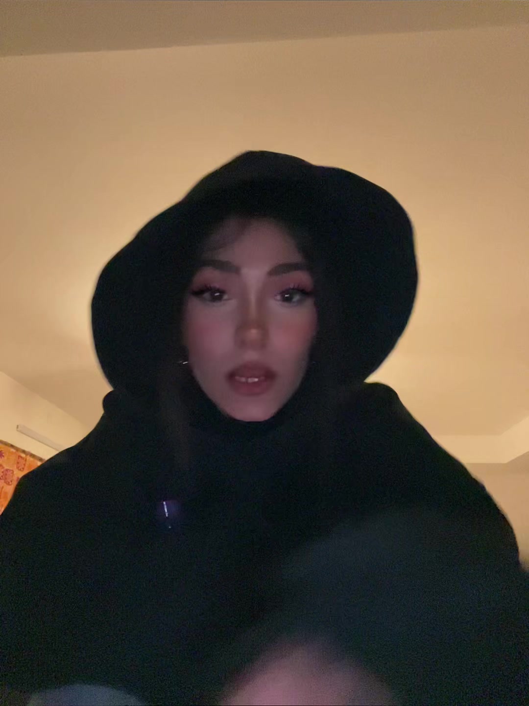 @lil.meshii