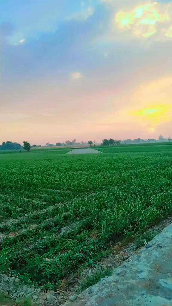 @zaheerfarooqi