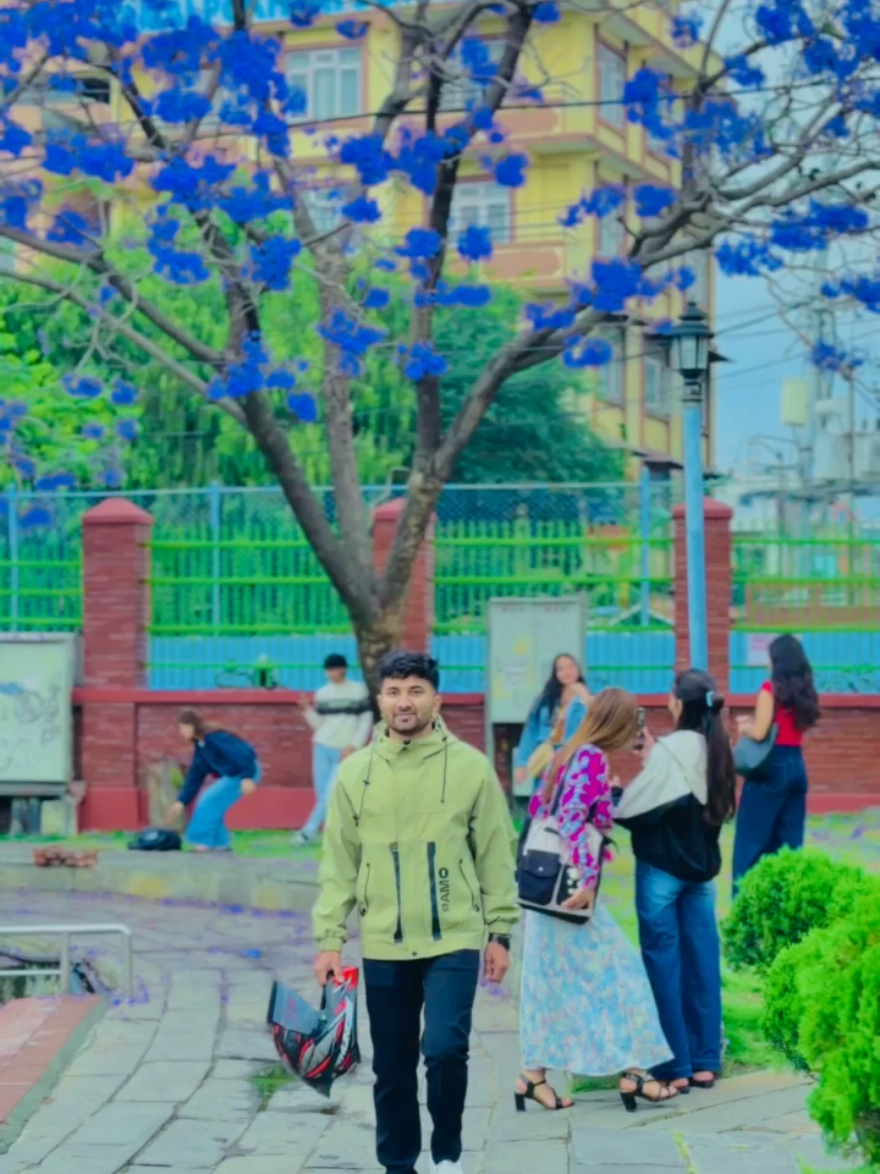 @Aalok_Rauniyar_02❤️🤞