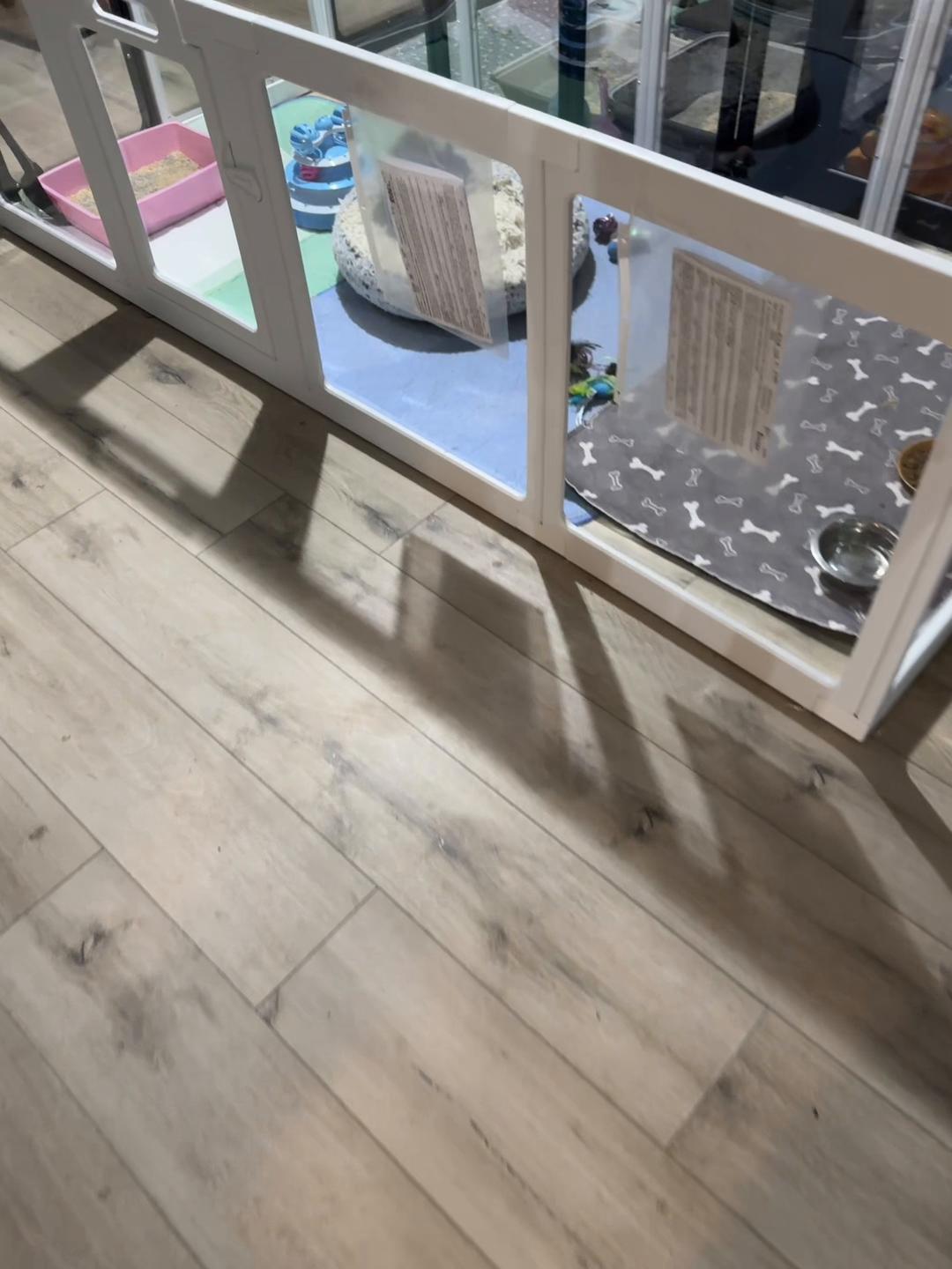 @GordonsFosters