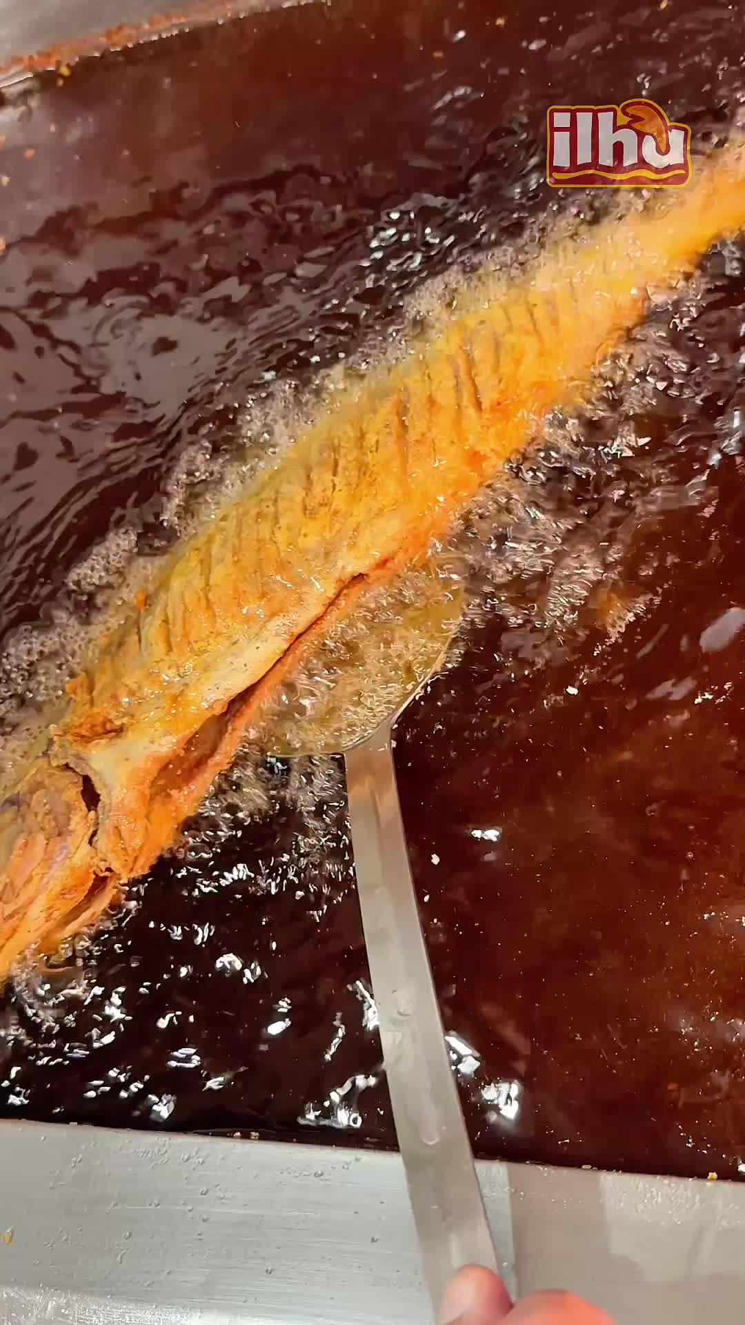 @ilhadocaranguejo