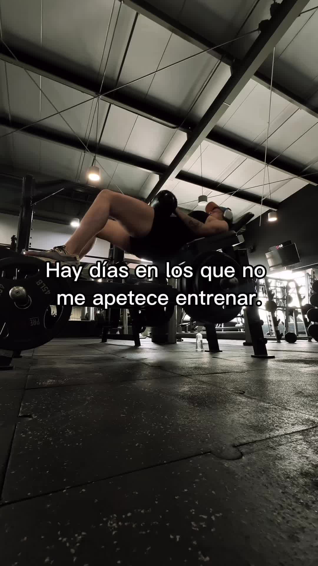 @fitrading1
