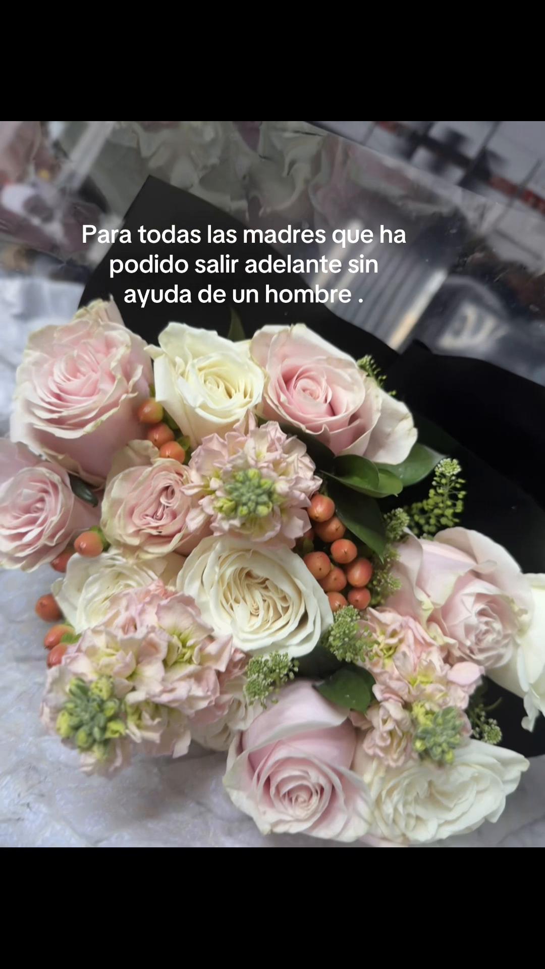 @IRIS🌸