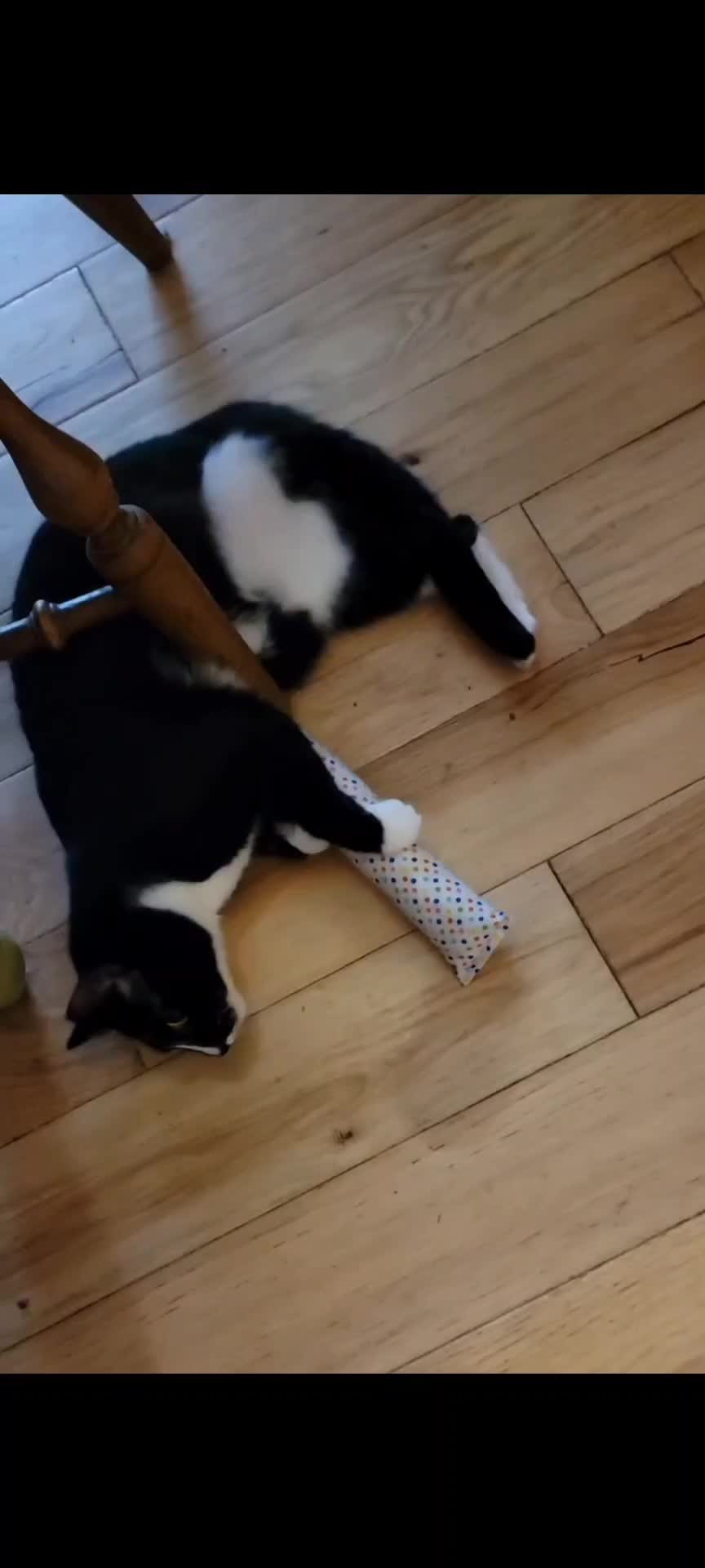 @No More Sad Kitties