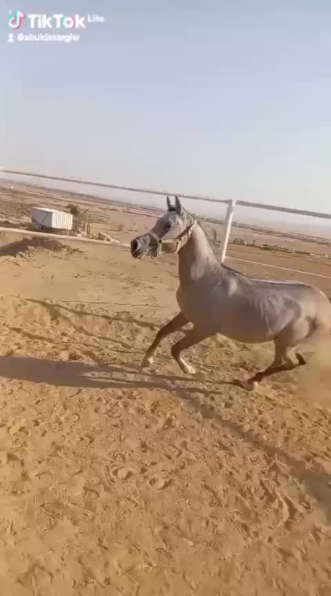 @خميس