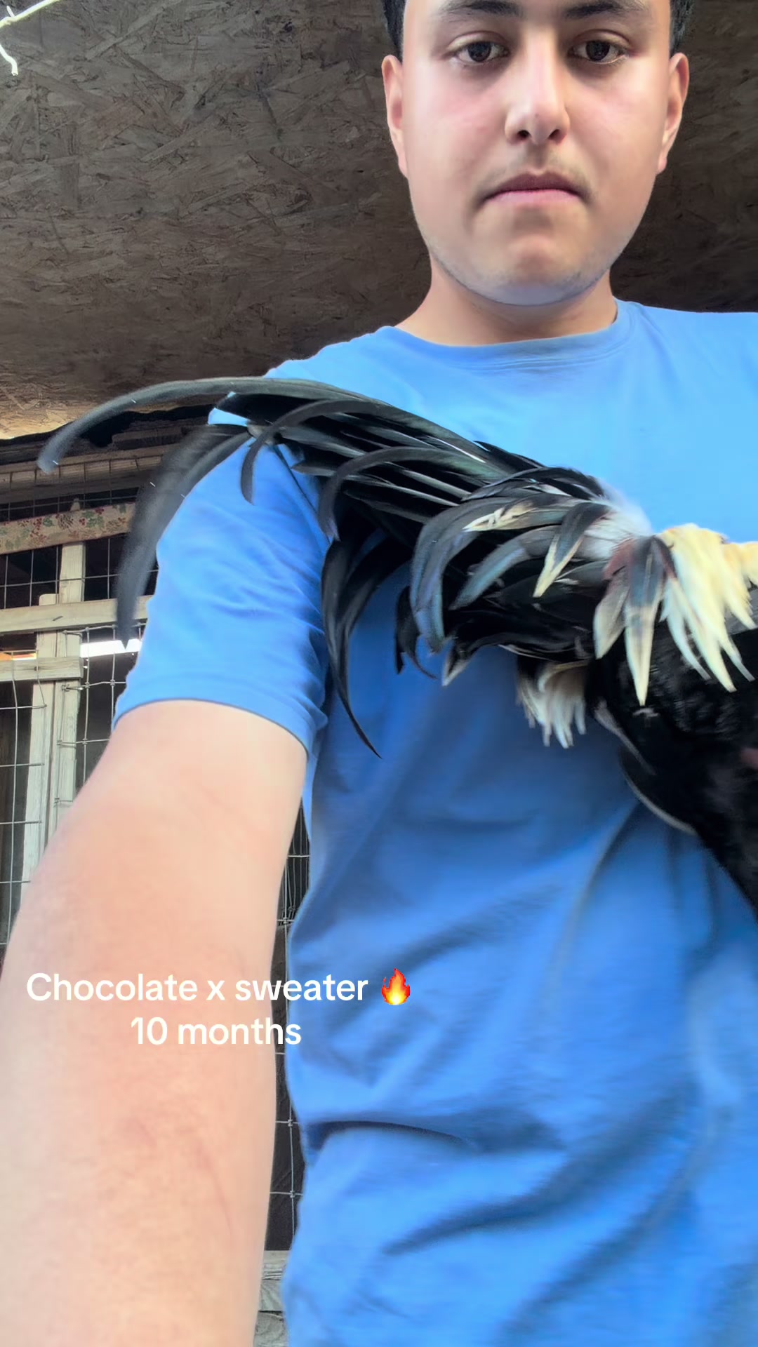 @Stranger Game Farm