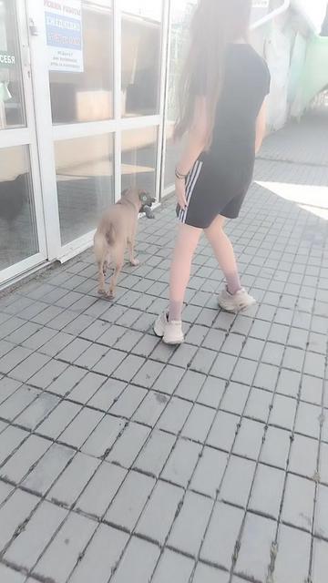 @хряк Александр