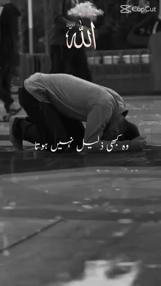 @javed shaikh