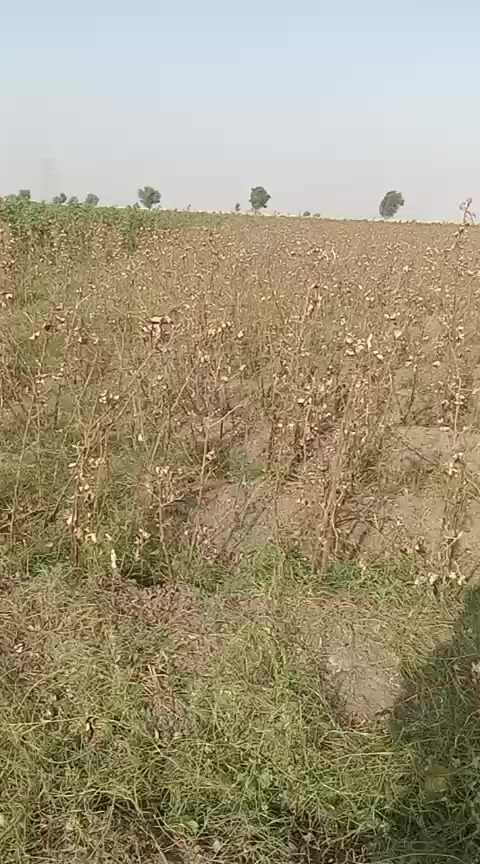 @wajidchoudrey01
