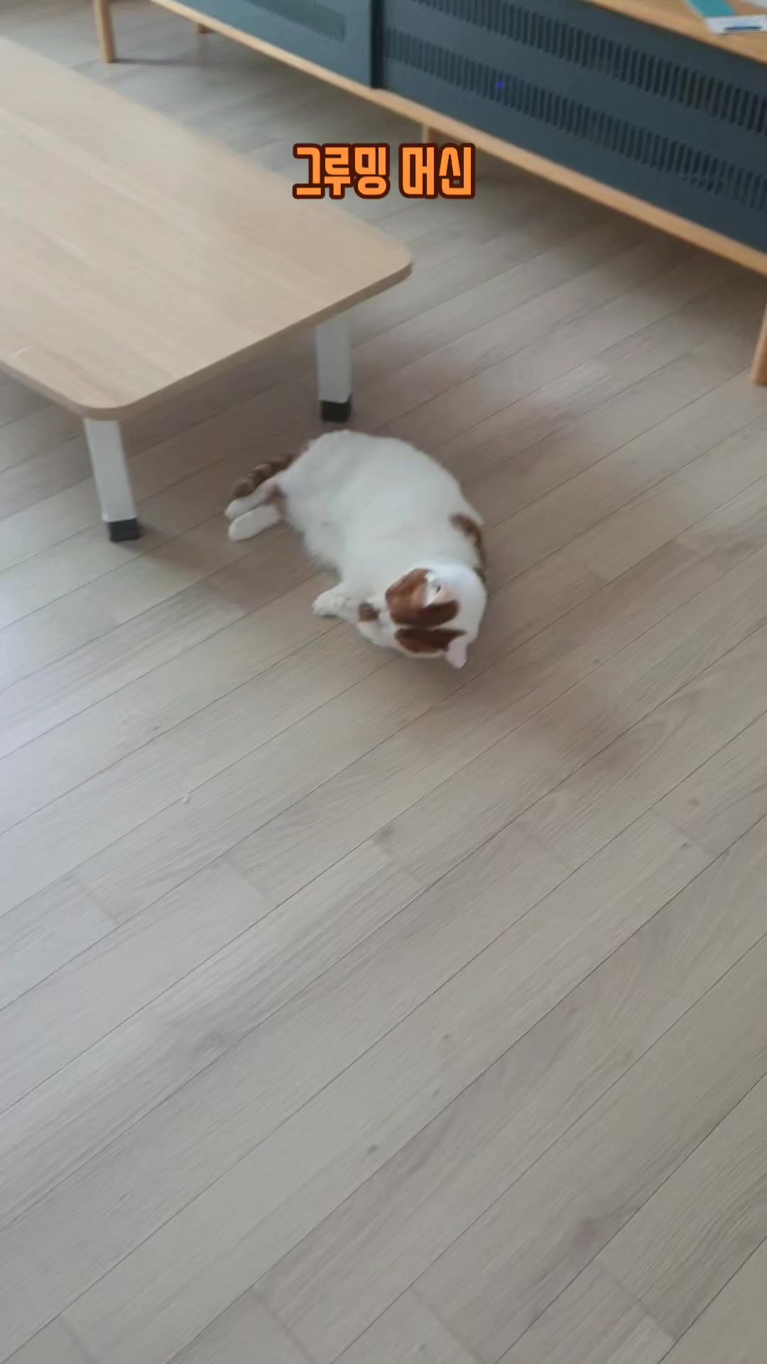 @이폭간