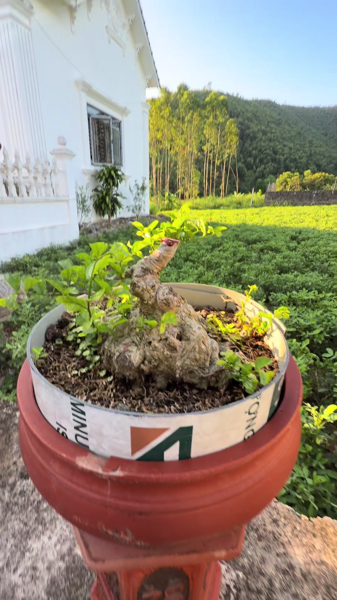@Anh công