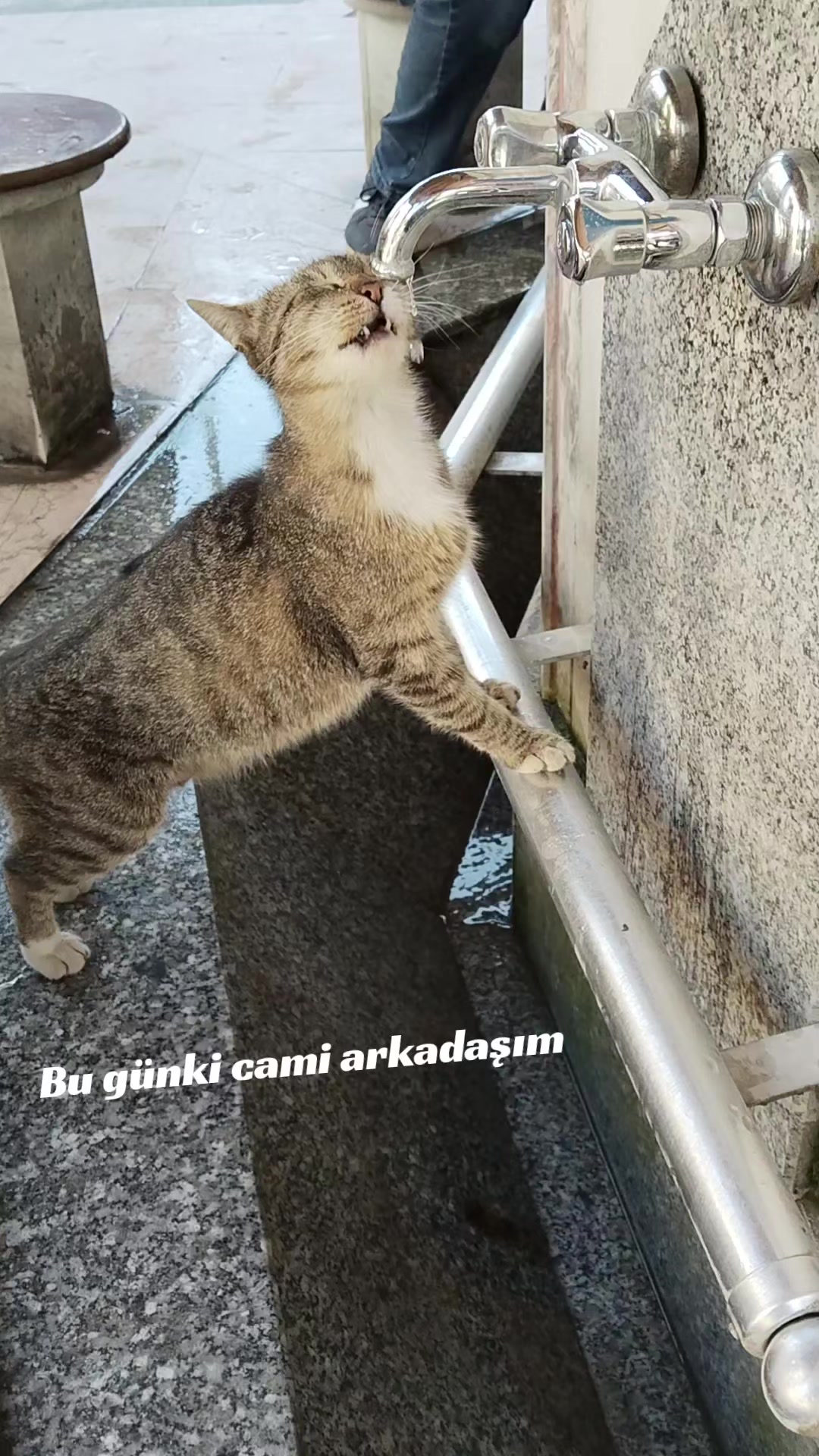 @🇹🇷 T.C Yalçınkaya Yunus 🇹🇷