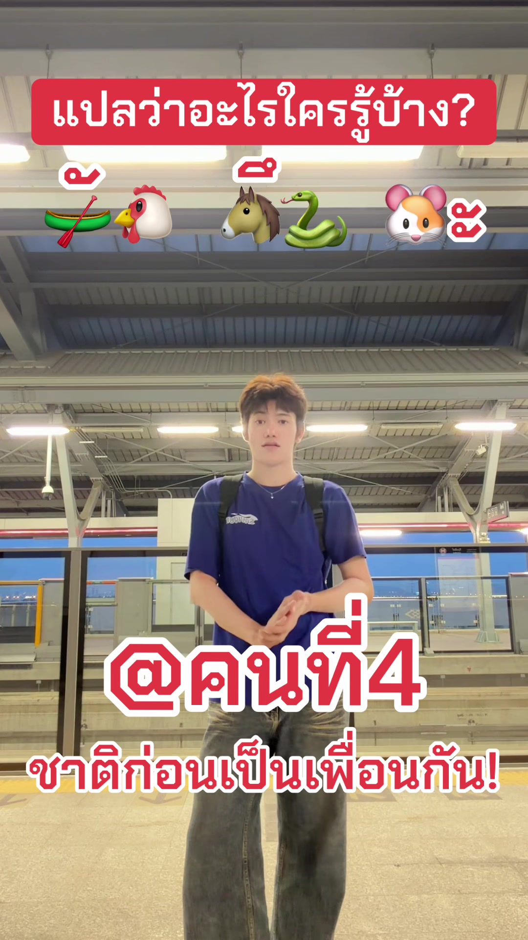 @✨แผ่นฟิล์ม✨