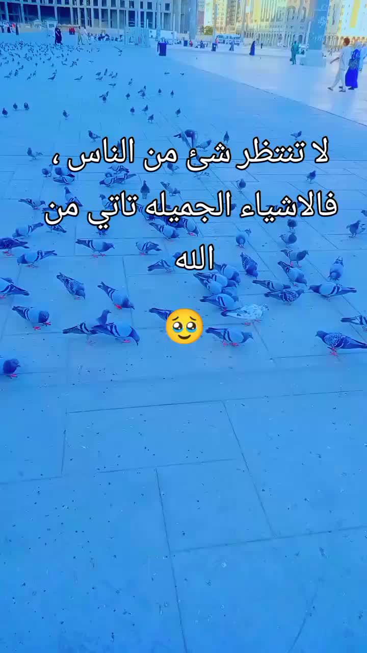 @Doaa Mohammed