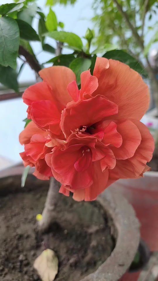 @Rita Pradip Rauniyar