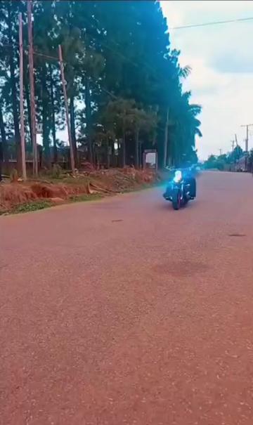 @Bebe Cool