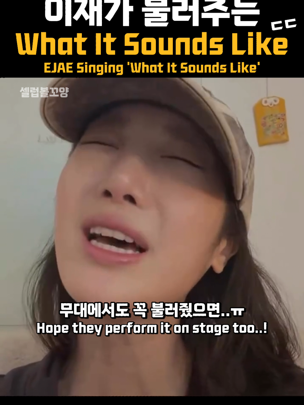 @셀럽볼꼬양