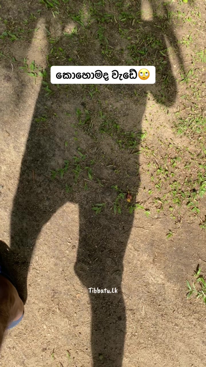 @Thibbatu.Lk