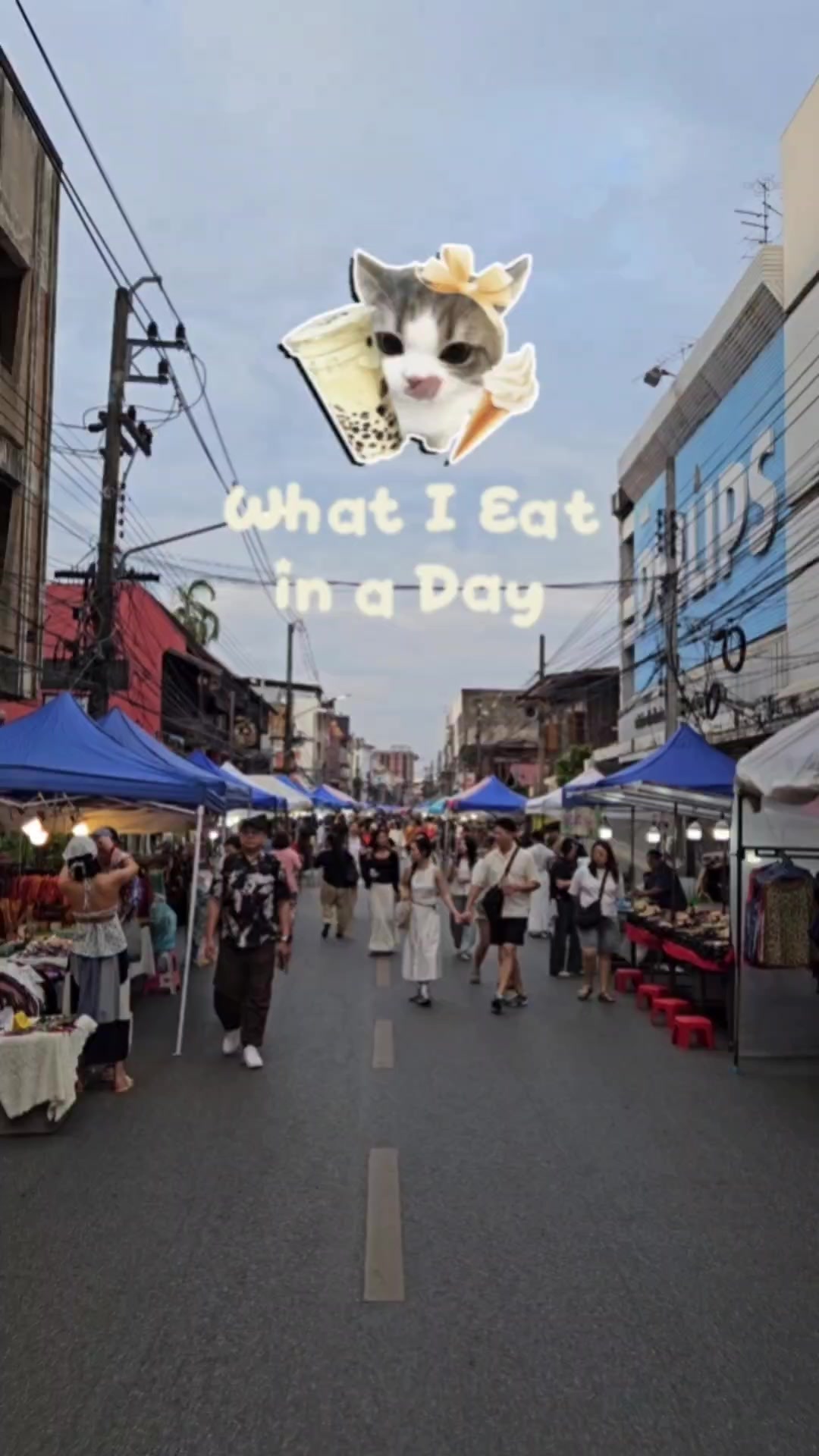 @♡~ ʕ•ᴥ•ʔ ~♡