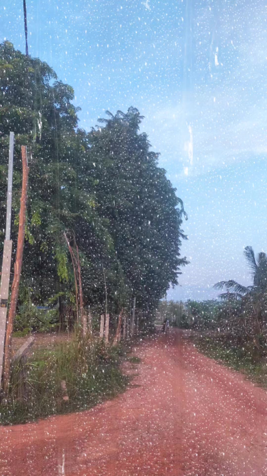 @Surasak Wongnet