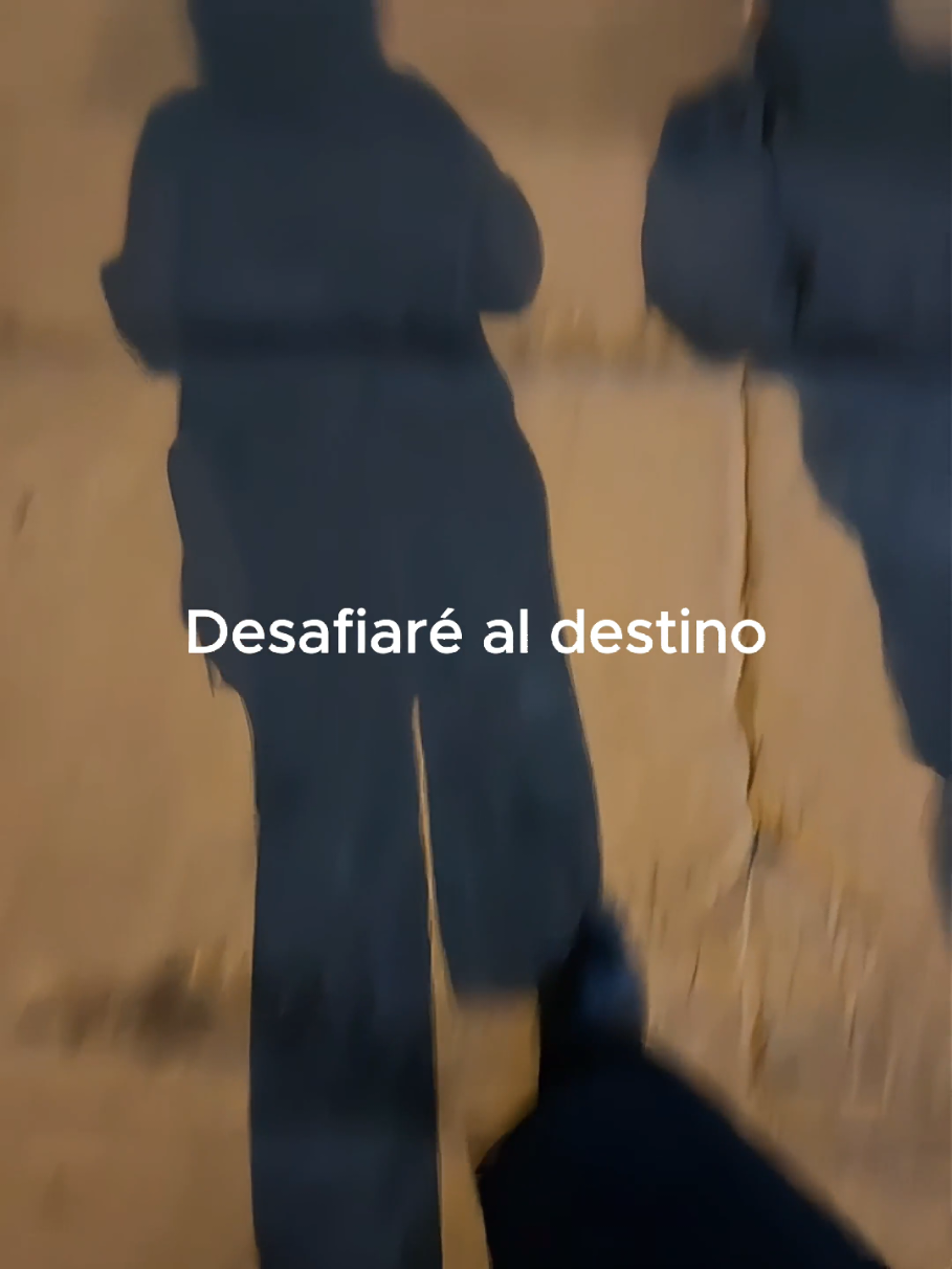 @Tamauta