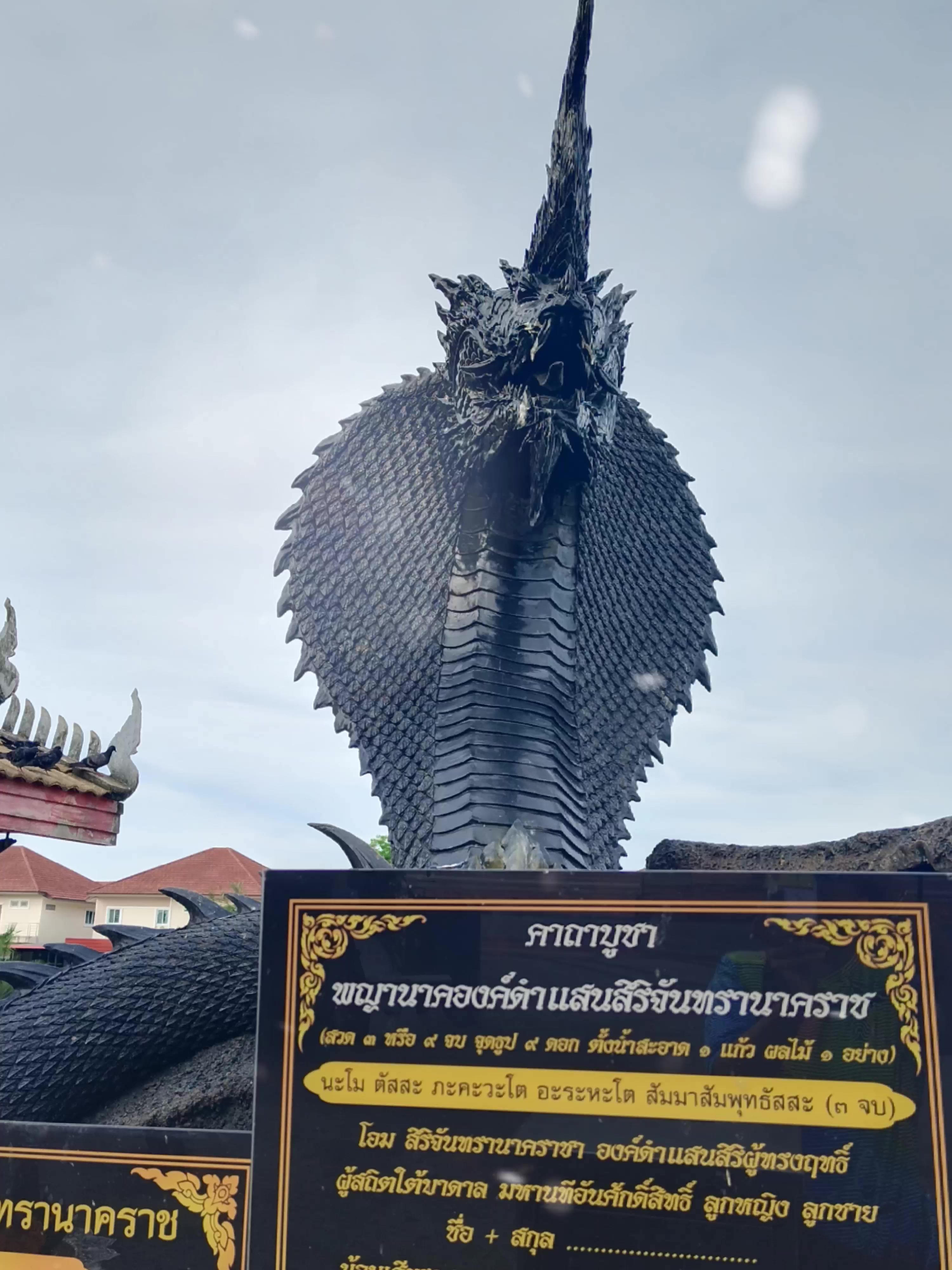 @ไปกับก้อย