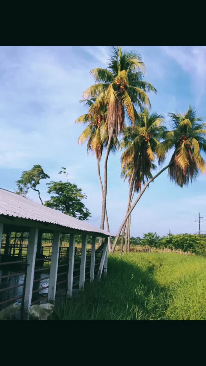 @Franklin_Lara