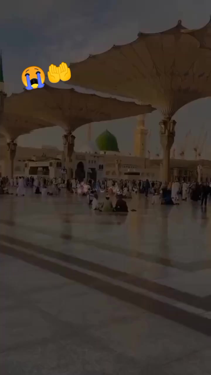 @Alina🫡🥰