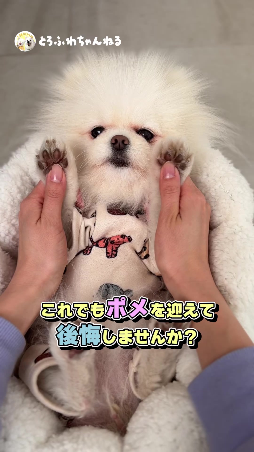 @とろふわ
