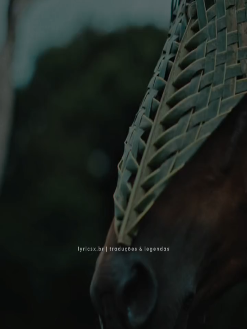 @𝙡𝙮𝙧𝙞𝙘𝙨𝙭.𝙗𝙧シ︎
