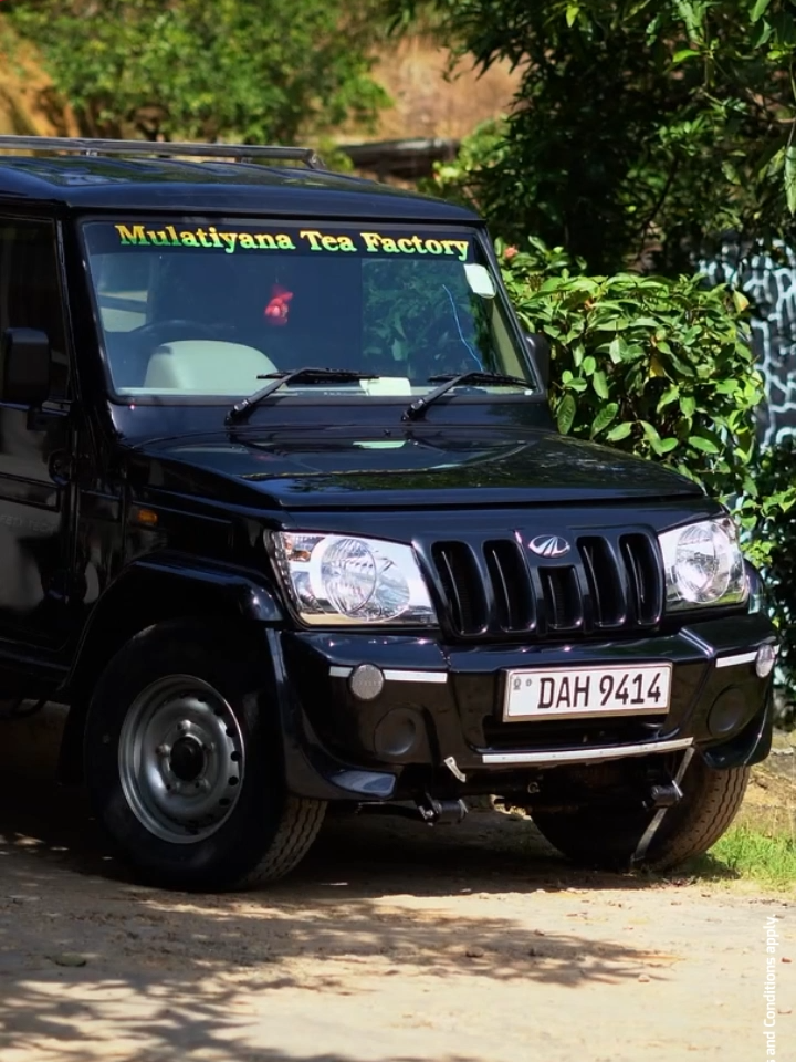 @Ideal Mahindra