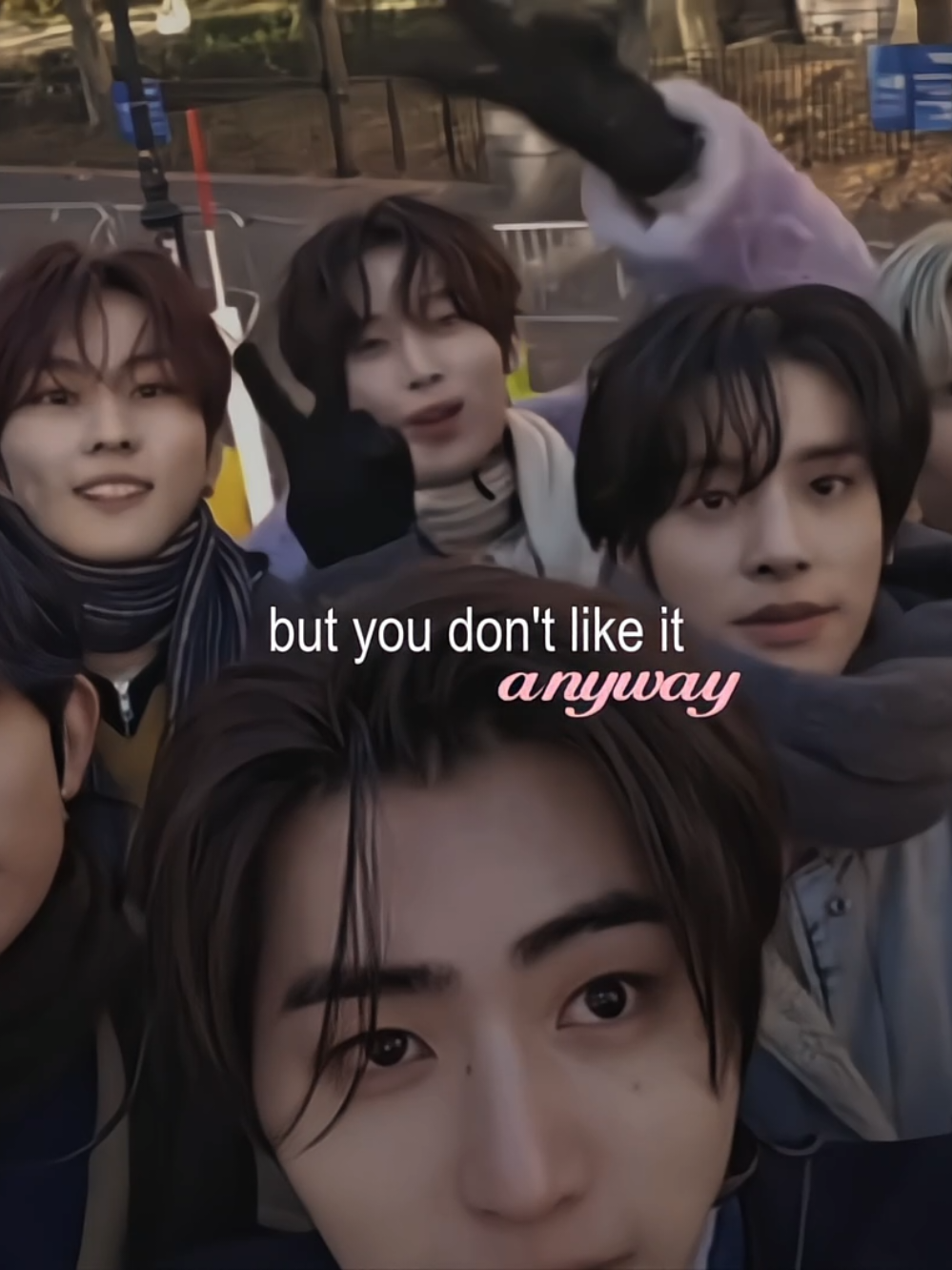 @acorn