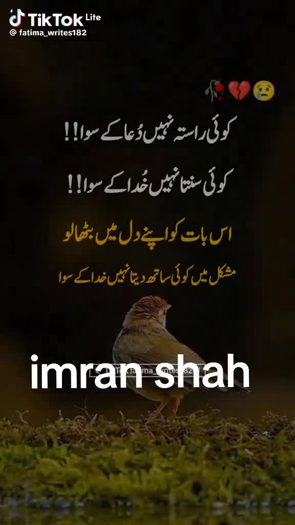 @Syed Ali Raza