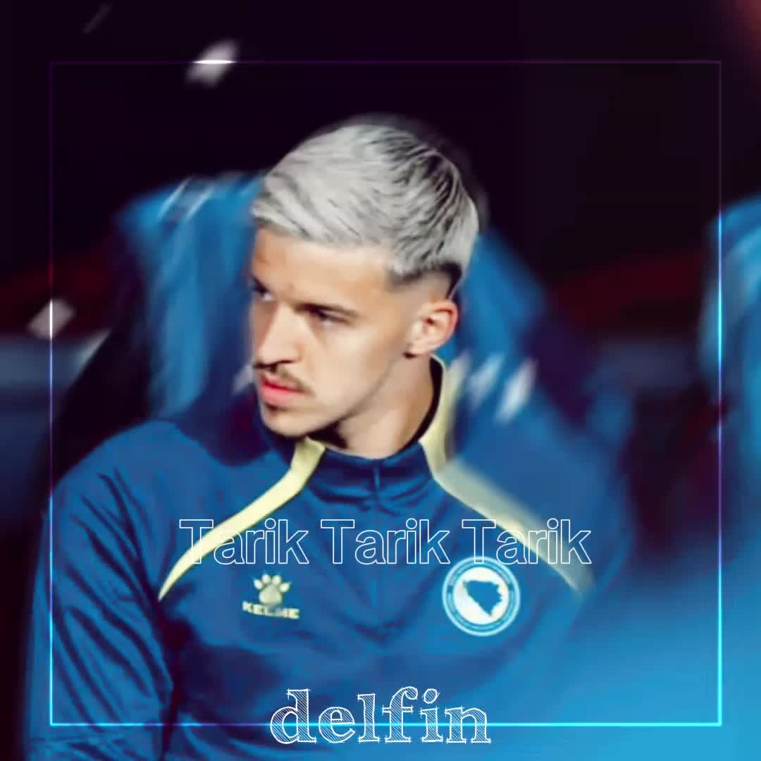 @🐬𝒕𝒂𝒓𝒊𝒌'𝒔 𝒅𝒆𝒍𝒇𝒊𝒏🐬