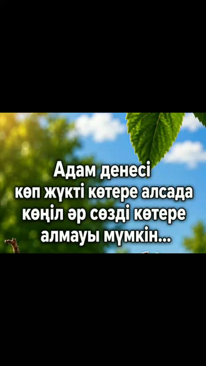 @Тойгул